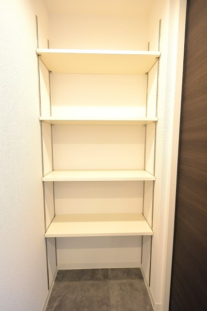 ライオンズマンション駒沢　リネン庫