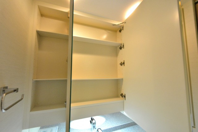 タワーテラス目黒青葉台　洗面台