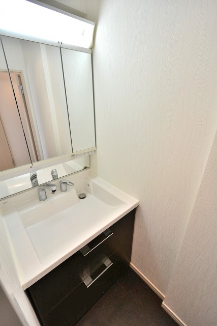 ライオンズマンション馬事公苑第2　洗面台