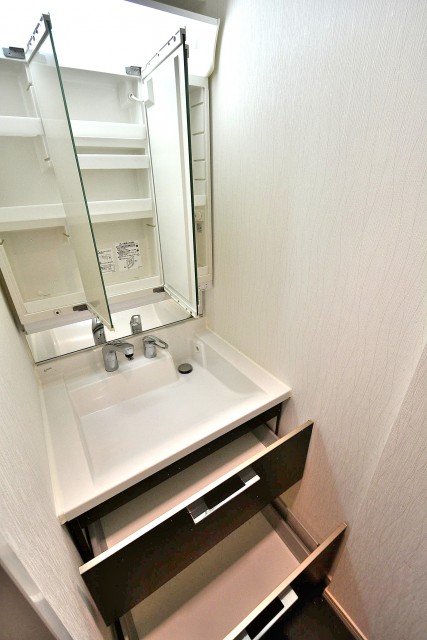 ライオンズマンション馬事公苑第2　洗面台