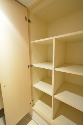 赤坂アーバンライフ103号室　収納