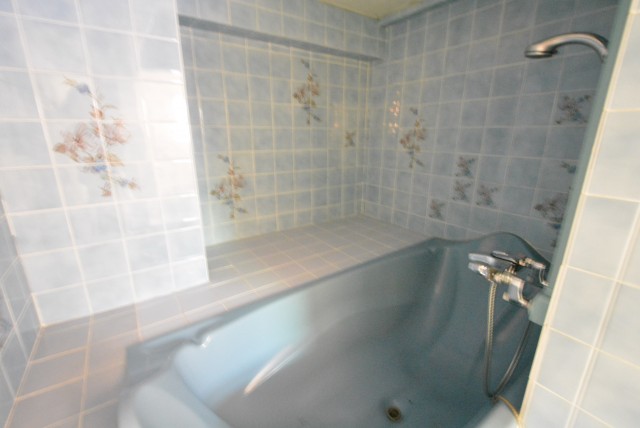 赤坂アーバンライフ103号室　浴槽