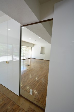 赤坂アーバンライフ103号室　鏡