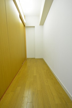 赤坂アーバンライフ103号室　収納