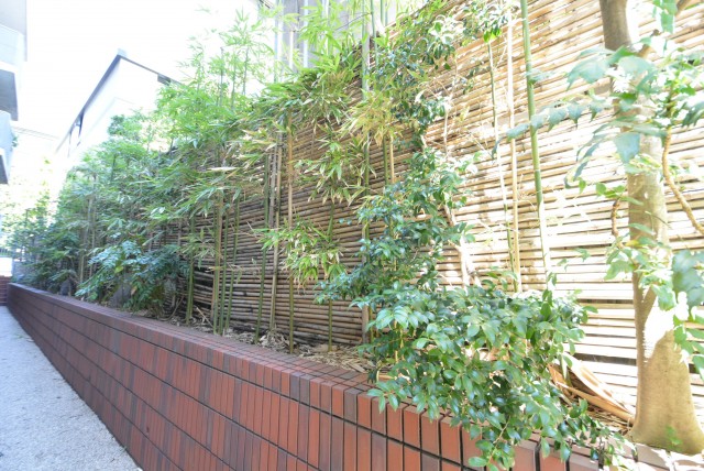 赤坂アーバンライフ103号室　竹藪