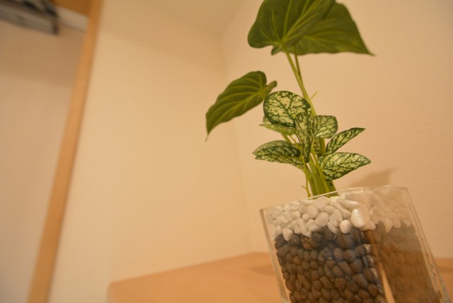 ラディエンス世田谷若林　604号室