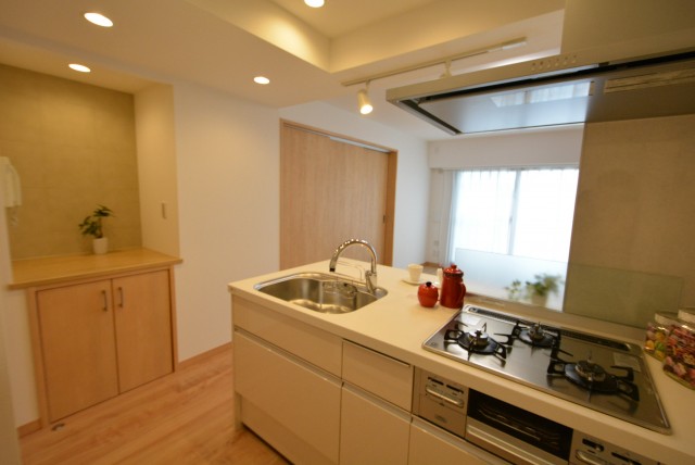 ラディエンス世田谷若林　604号室　ＬＤＫ