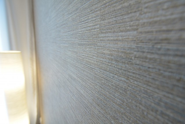 ラディエンス世田谷若林　604号室　壁