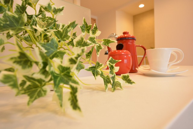 ラディエンス世田谷若林　604号室