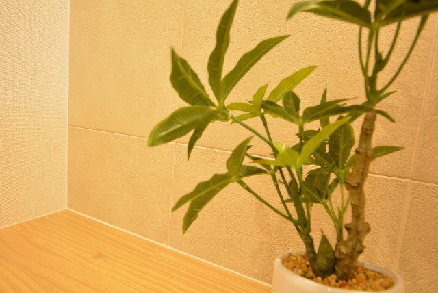 ラディエンス世田谷若林　604号室　壁紙