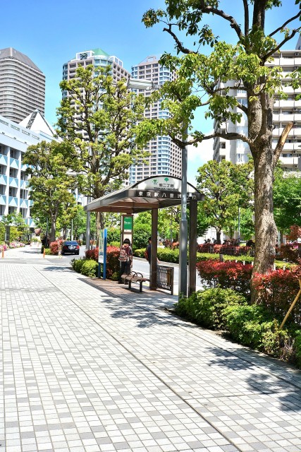 佃スカイハイツ　周辺