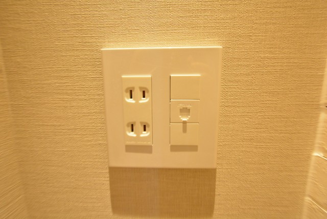 玉川コーポラス　207号室　ＬＡＮ