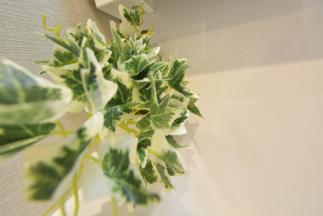 玉川コーポラス　207号室