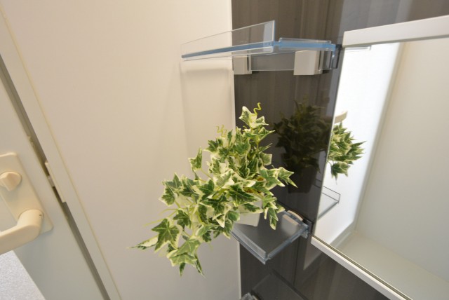 玉川コーポラス　207号室　棚