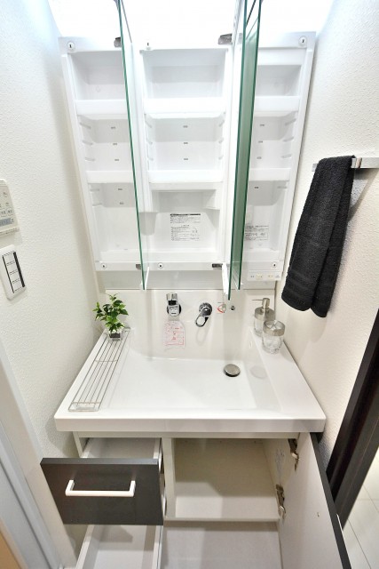 ライオンズマンション茅場町　洗面台