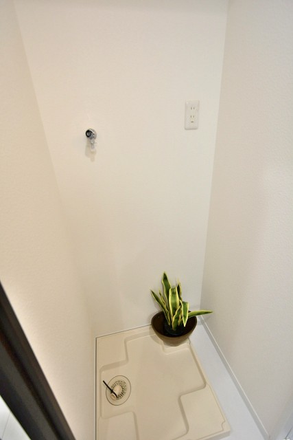 ライオンズマンション茅場町　洗濯機置場