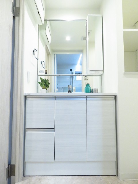 ルミネリックス中延　洗面化粧台