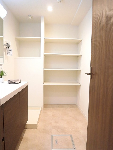 ランドステージ祐天寺　サニタリールーム