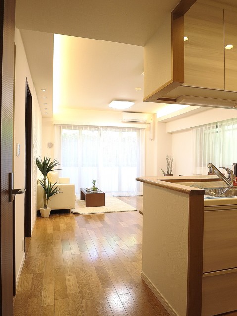 ランドステージ祐天寺　ＬＤＫドア