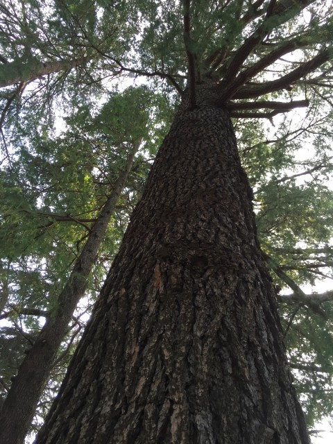 桜丘フラワーホーム　周辺環境