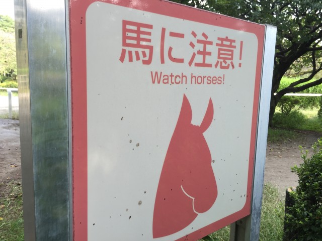 桜丘フラワーホーム　周辺環境