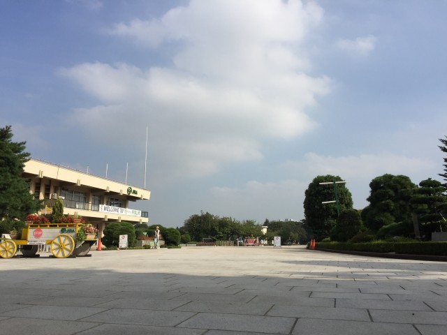 桜丘フラワーホーム　周辺環境