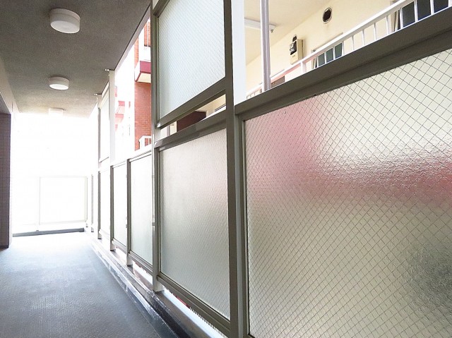 ルミネリックス中延　共用廊下