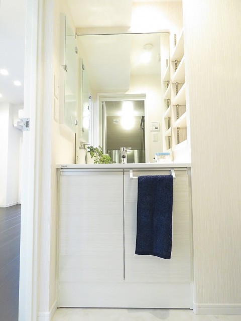 朝日シティパリオ高輪台A館　洗面化粧台