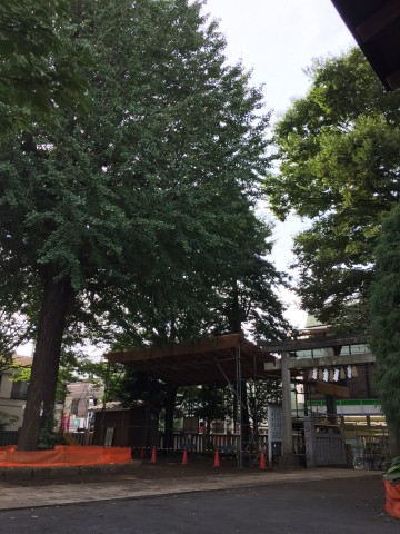 桜丘フラワーホーム　周辺環境