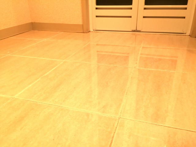 桜丘フラワーホーム　洗面室