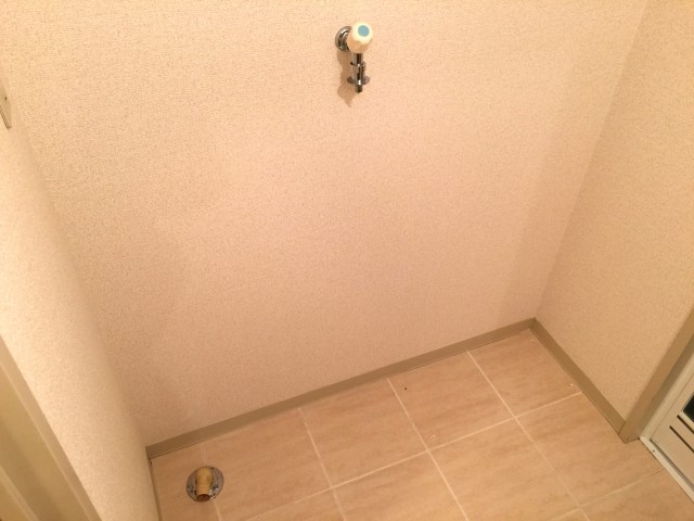 桜丘フラワーホーム　洗面室