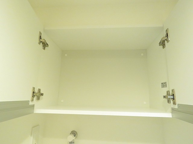 ディナ・スカーラ品川戸越　洗濯機置場収納