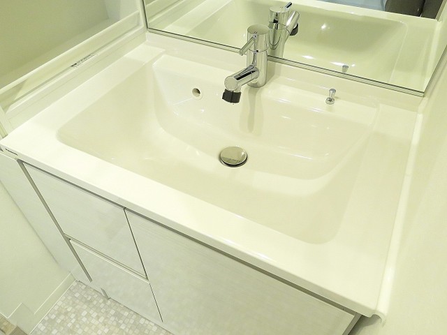 ディナ・スカーラ品川戸越　洗面ボウル