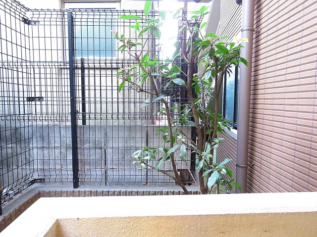 ディナ・スカーラ品川戸越　眺望