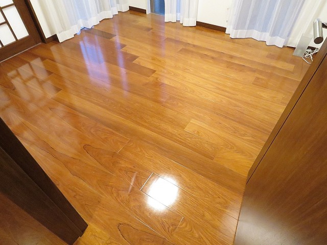 ジェイパーク上池台　洋室約5.5帖