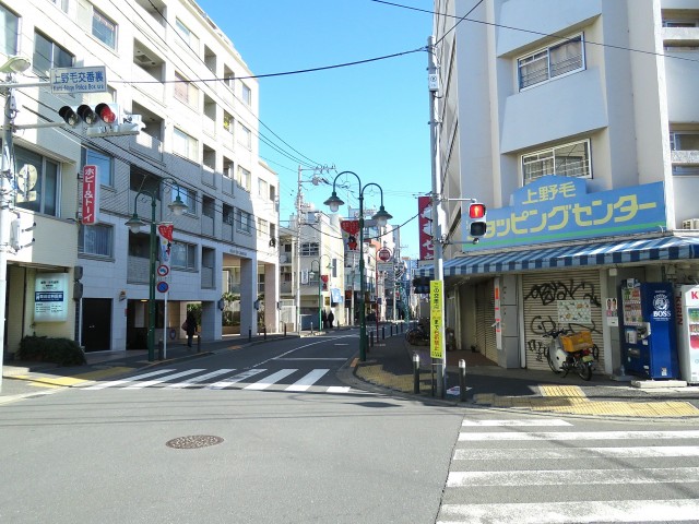 東急ドエルアルス上野毛　上野毛駅周辺