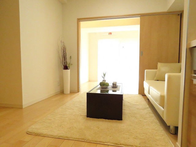 キャッスルマンション武蔵小山　ＬＤＫ+洋室