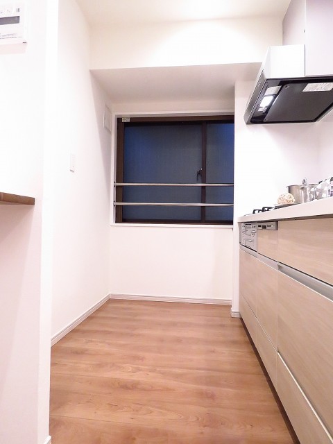 ニューお茶の水　キッチンスペース