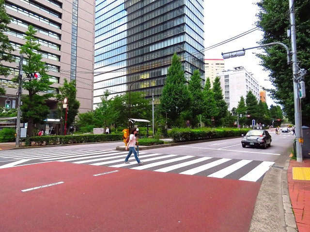 ニューお茶の水　本郷通り