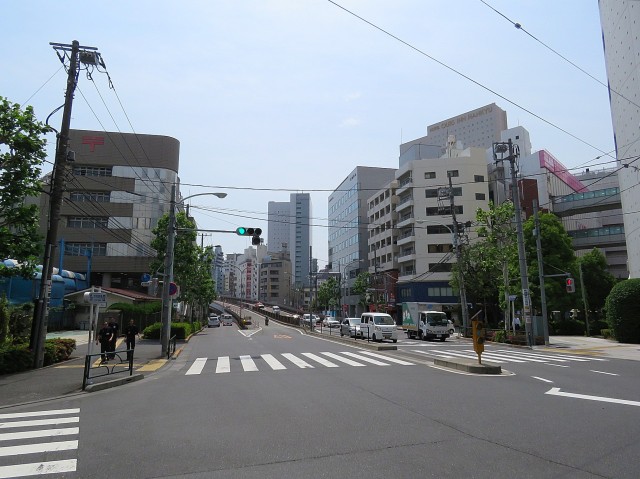 ワールドパレス大井仙台坂Ⅱ　池上通り