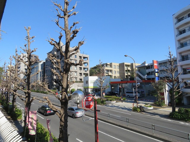 クレードル都立大　眺望