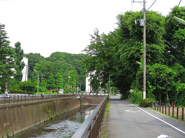 祖師谷大蔵サマリヤマンション　仙川