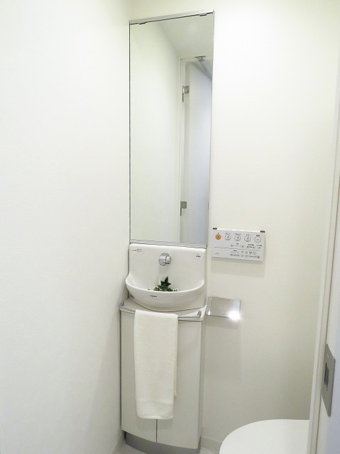 レジデンシャルスター三軒茶屋　トイレ内の手洗い場