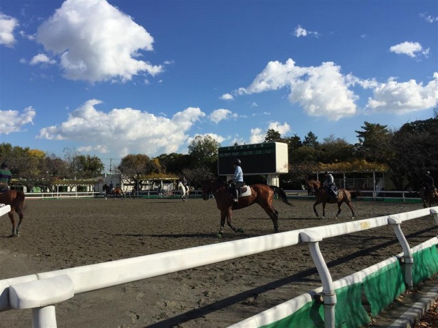 桜丘フラワーホーム　周辺環境