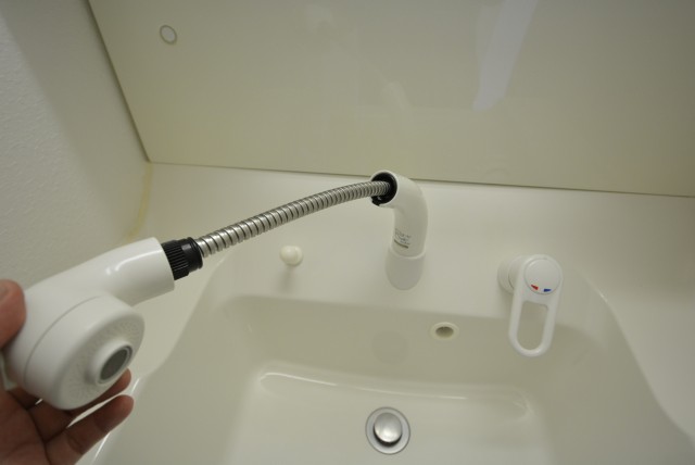 グリーンキャピタル第２笹塚 洗面台