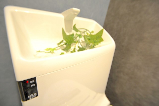 インペリアル常盤松 トイレ