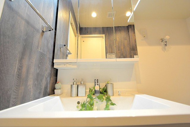 インペリアル常盤松 洗面