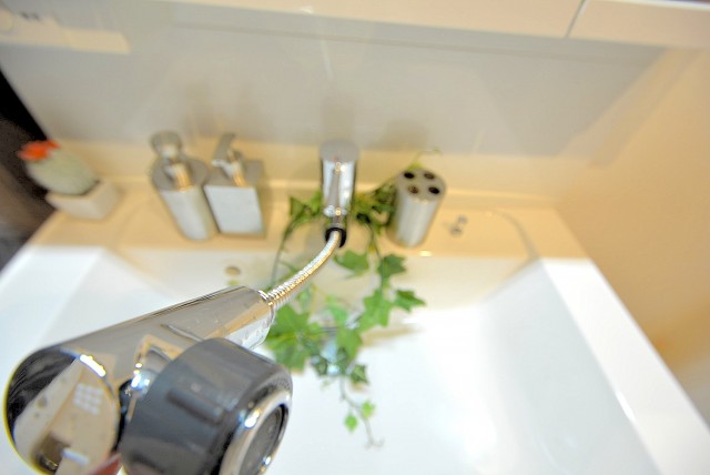 インペリアル常盤松 洗面