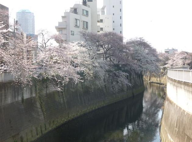 アートハビテーション　神田川