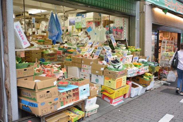 プレジール新宿大久保 駅から